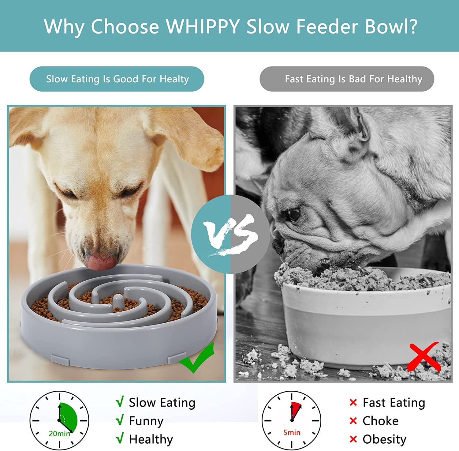 Slow Feeder Dog Bowl – Anti-Choking Maze Design for Healthy Eating
